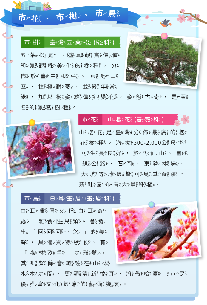 市花市樹市鳥